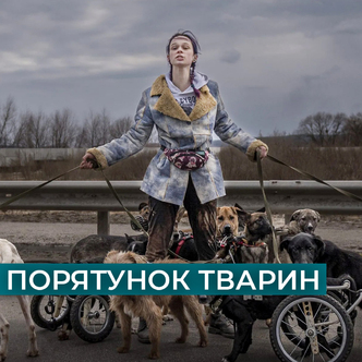 Порятунок тварин. Анастасія Тиха