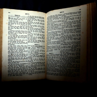 Біблія як книга, Павло Цеона