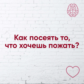 Як посіяти те, що хочеш зібрати?