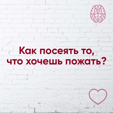 Як посіяти те, що хочеш зібрати?