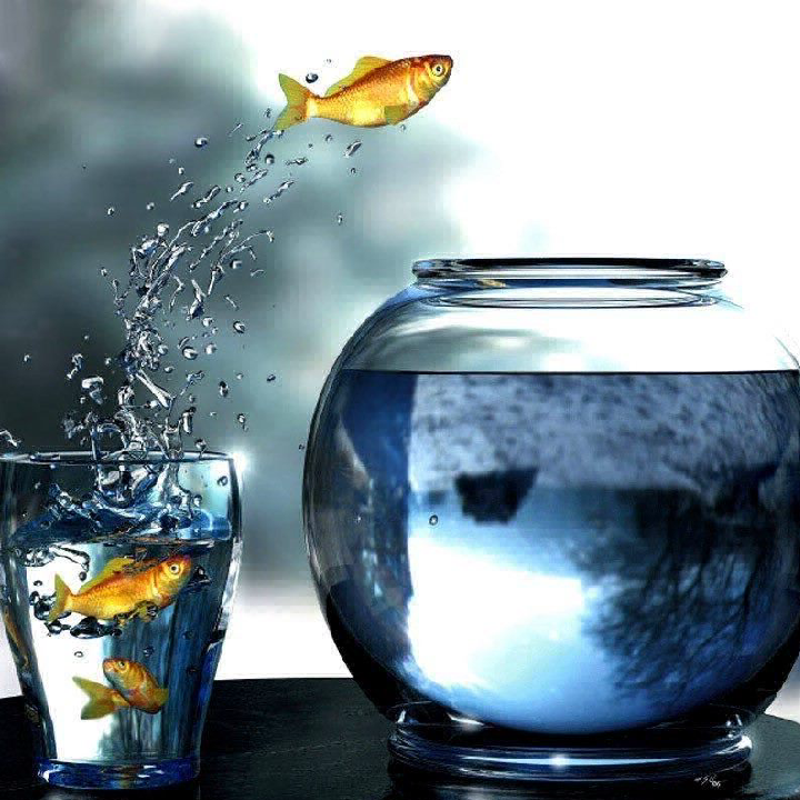 Сергій Балаян та Інна Царук