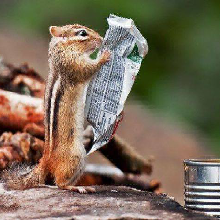 Свят Тромса та Інна Царук