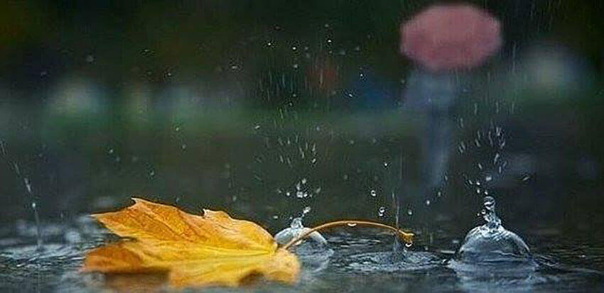 Реакція на несправедливість