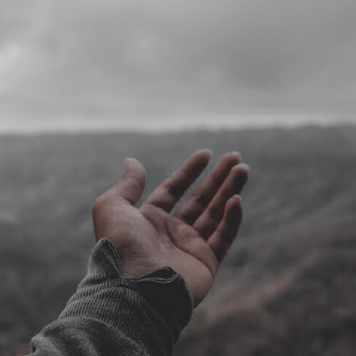 Коли ви востаннє просили вибачення?