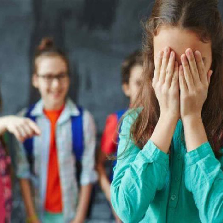 Макс Шаргаєв, Ігор Середа та Свят Тромса