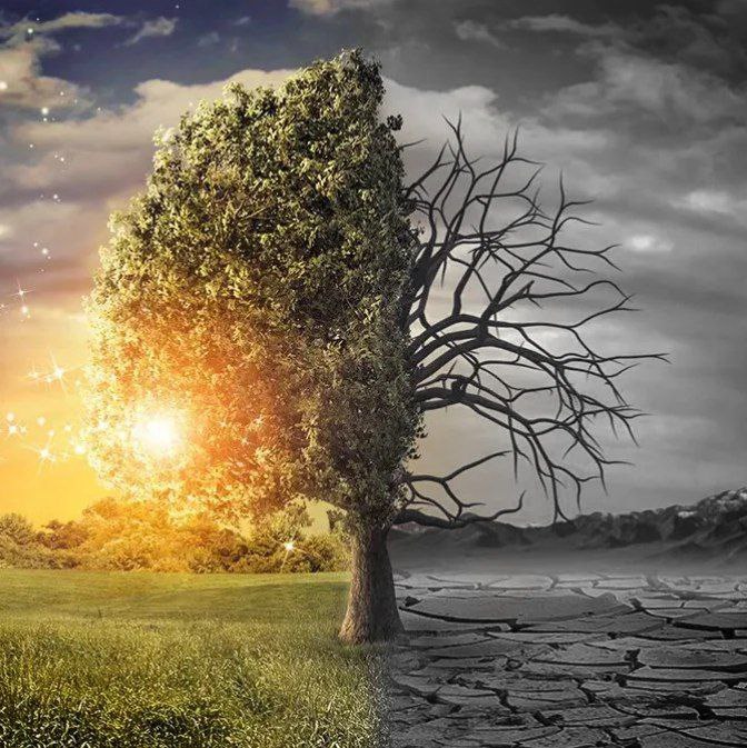 Як реагувати на зло?