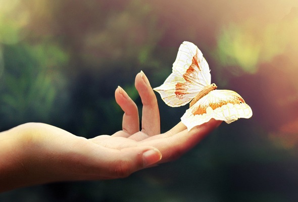 Любиш чи не любиш?