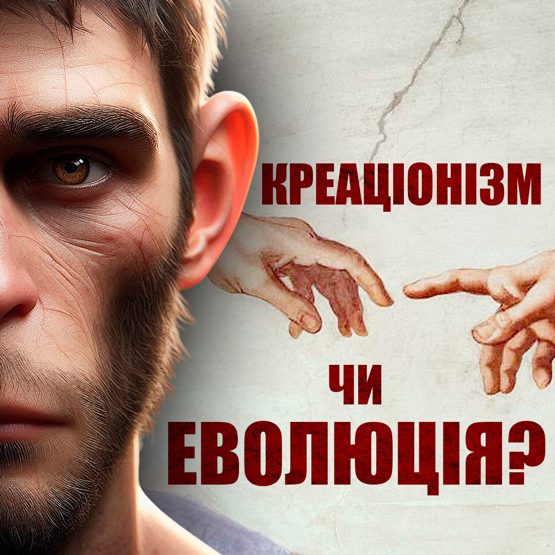Креаціонізм чи еволюція?